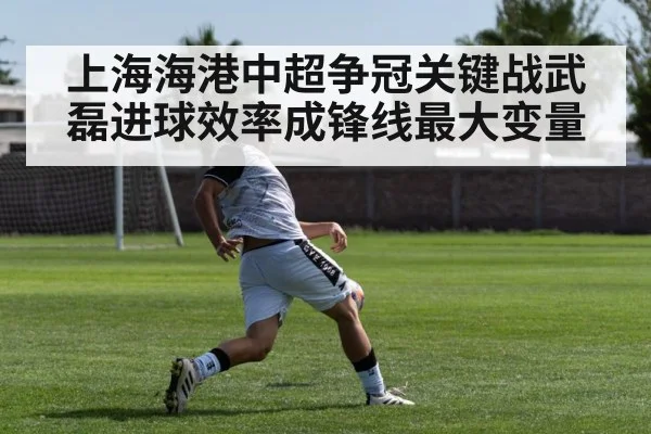 上海海港中超争冠关键战武磊进球效率成锋线最大变量 - Kaiyun sports